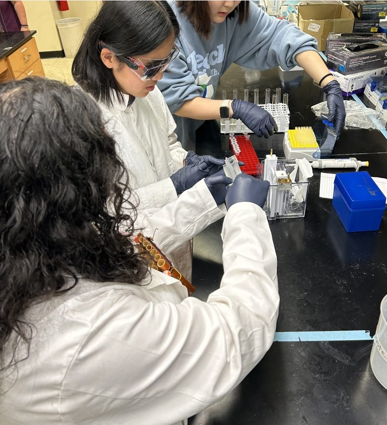 The Accessible Lab